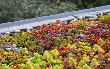 the cost of Woollaton green roof installation