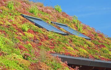 Woollaton living roof systems