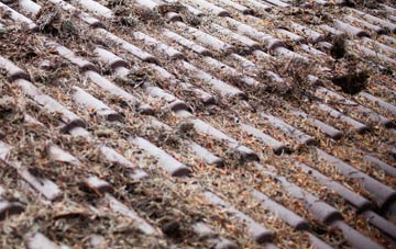 Woollaton roof cleaning companies