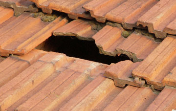 roof repair Woollaton, Devon